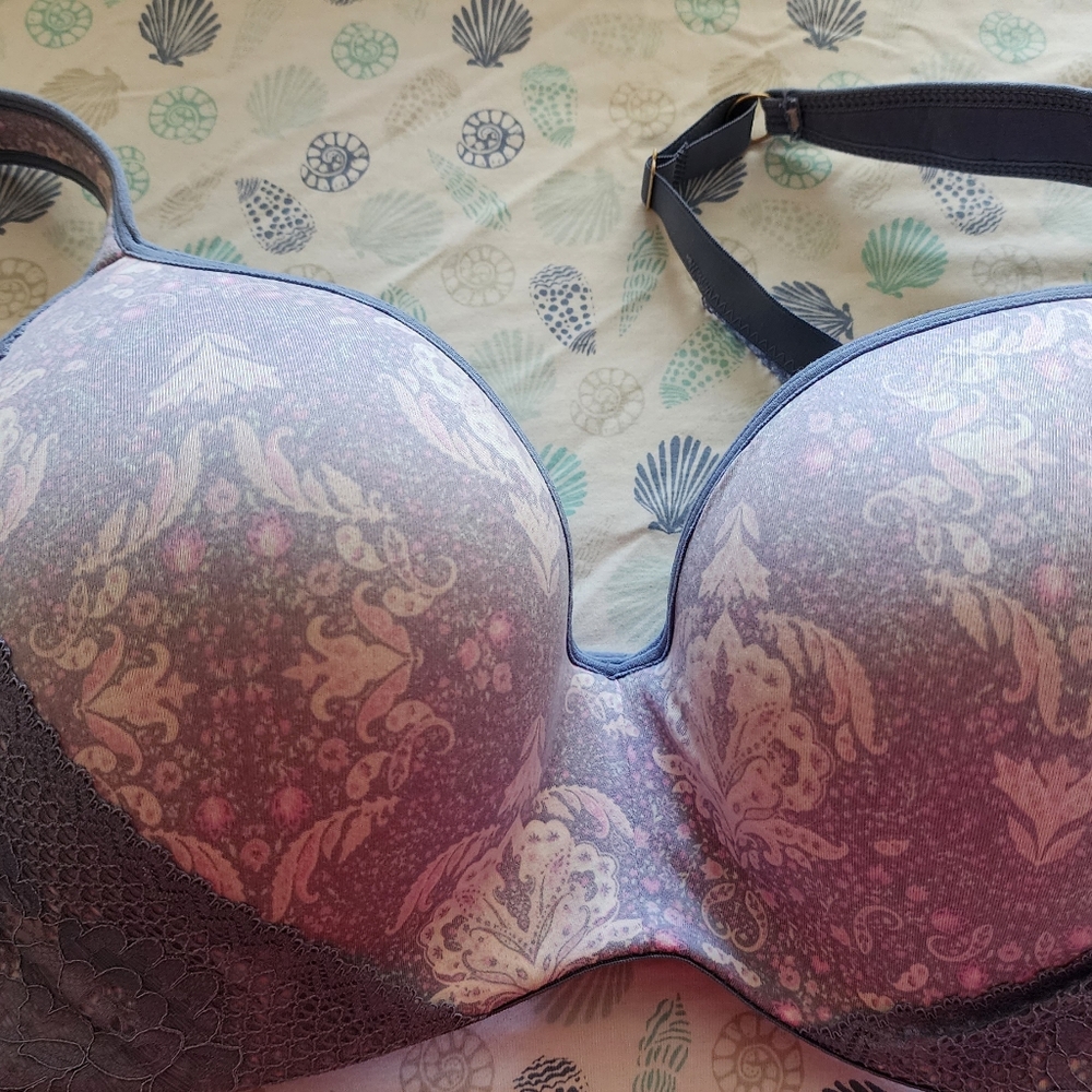 Jessica Simpson bra 40C